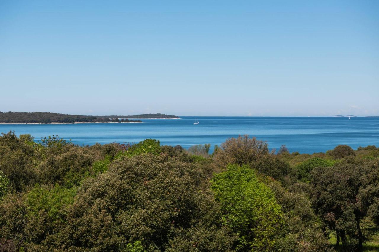 Dream Lounge With Sea View Διαμέρισμα Πούλα Εξωτερικό φωτογραφία